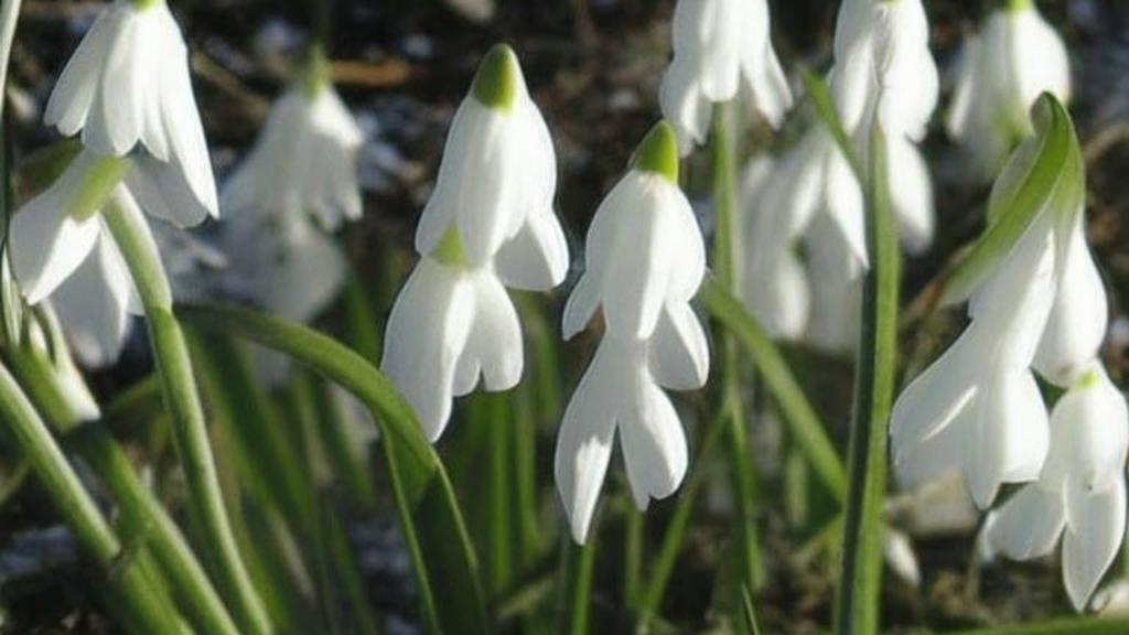 Заблудившиеся в лабиринтах токсичных отношений: психология эмоциональных ловушек